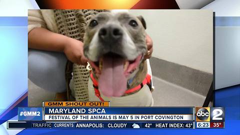 Good morning from the Maryland SPCA & KO!