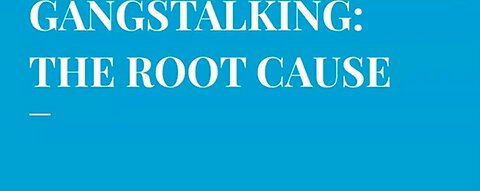 ~Gang Stalking Why Do They Do It?~