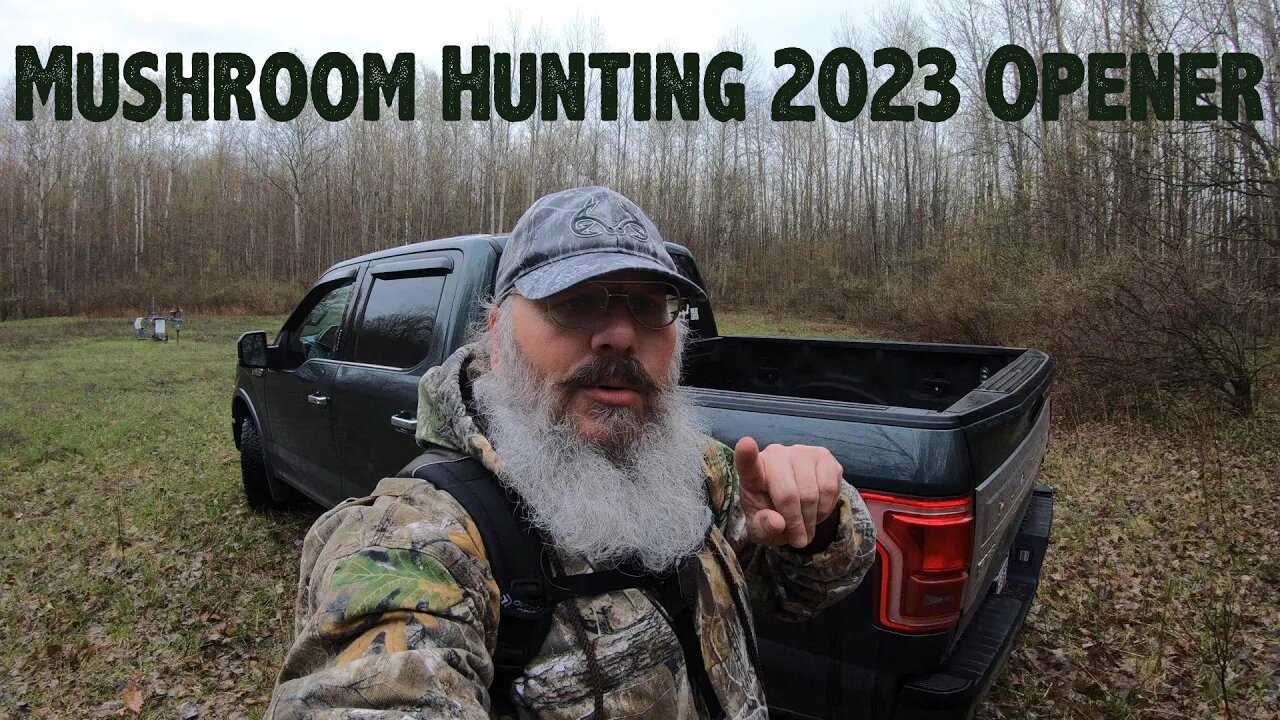 Mushroom Hunting Season 2023 Opener