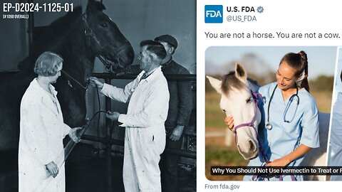 You are not a horse! The 1902 FDA Act (Jim the Horse vs Ivermectin derangement syndrome)