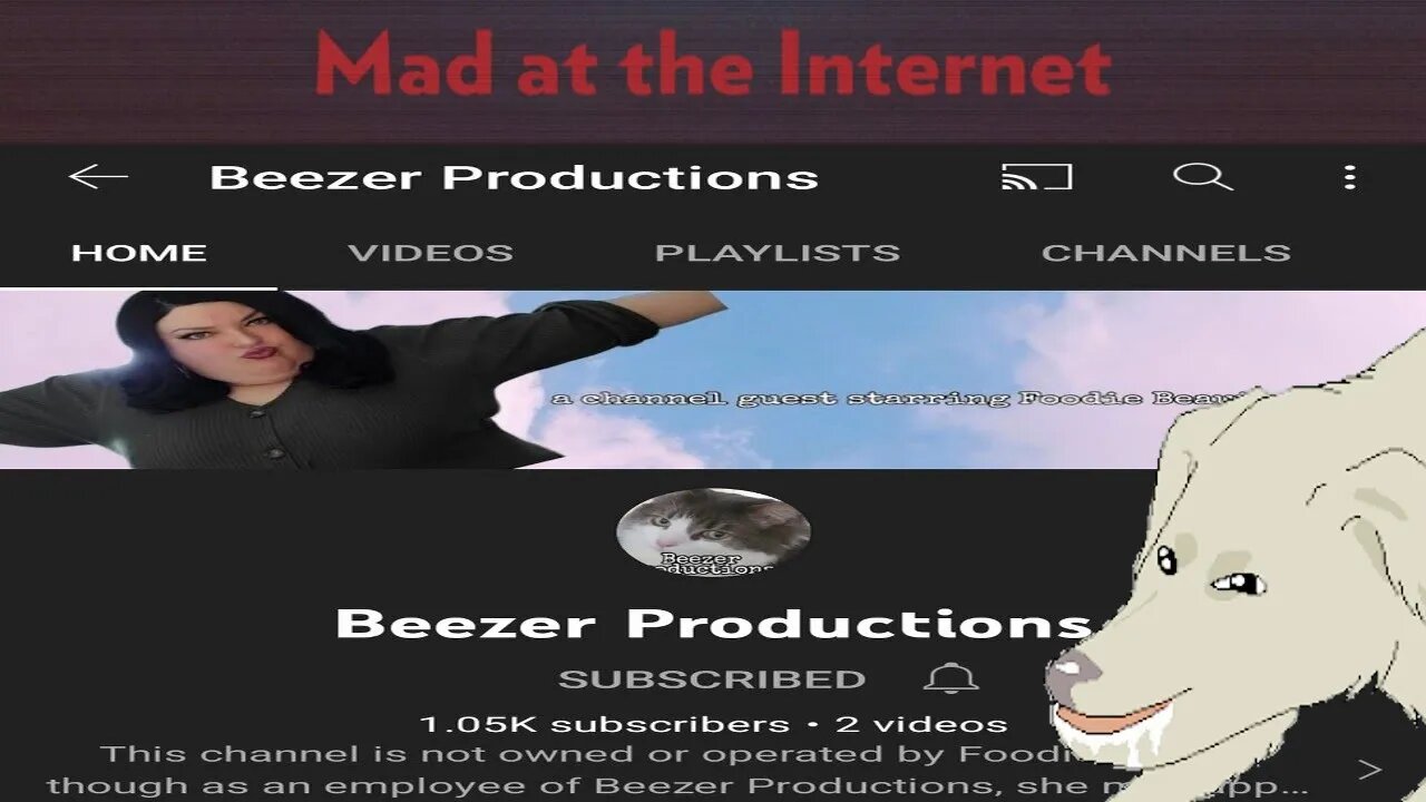 Beezer Productions - Mad at the Internet