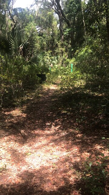 Antique Iron bicycle trail