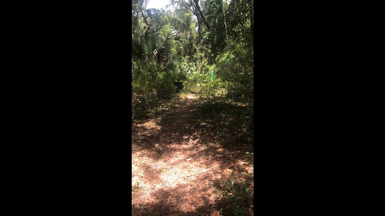 Antique Iron bicycle trail