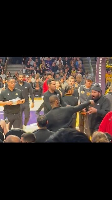 LeBron James Shoves Fan