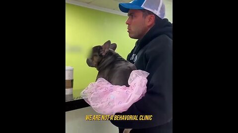 Guy takes dog for "gender transition," HILLIARIOUS!!! #SHORTS