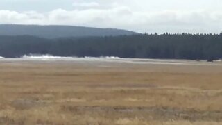 Sentinel Meadows in Yellowstone