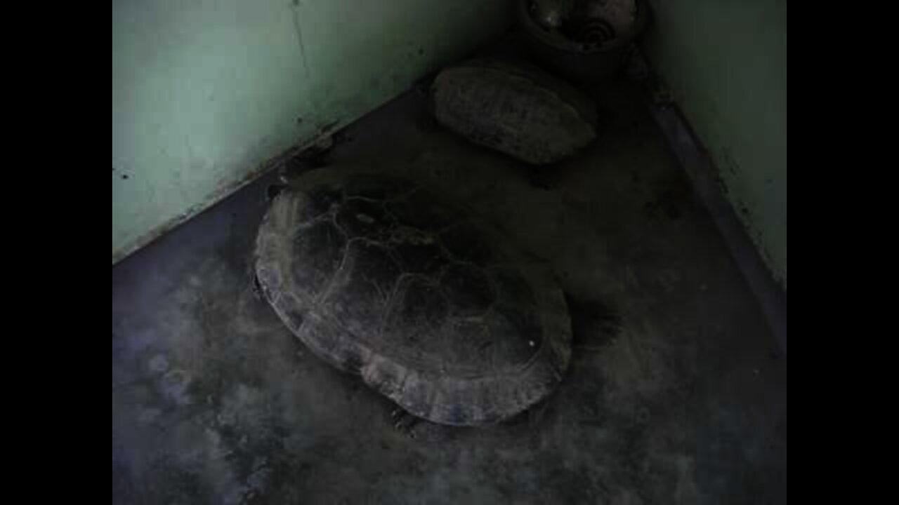 Singapore and Malaysia