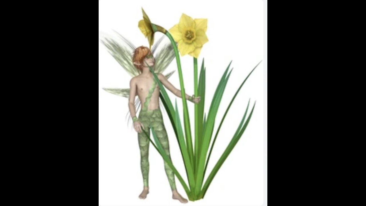 Fae Ferdinand’s Adventure Diary, Day 7