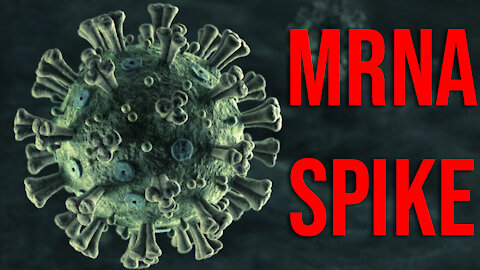 About Those mRNA “Spikes” & Vascular Disease…