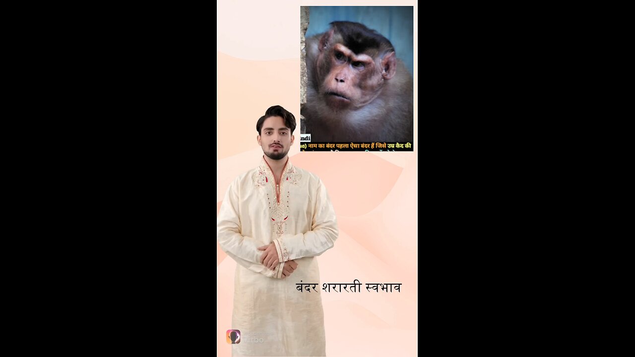 मिर्जापुर का ऐसा बंदर जिसे उम्र कैद की सजा देनी पड़ी