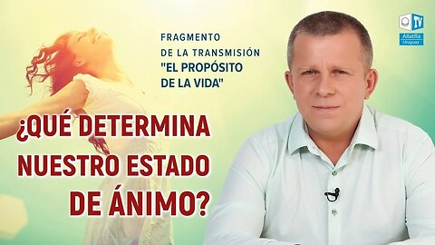 ¿Qué determina nuestro estado de ánimo？