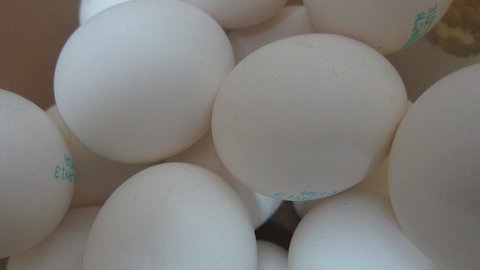 More Than 200 Million Eggs Recalled After Salmonella Outbreak