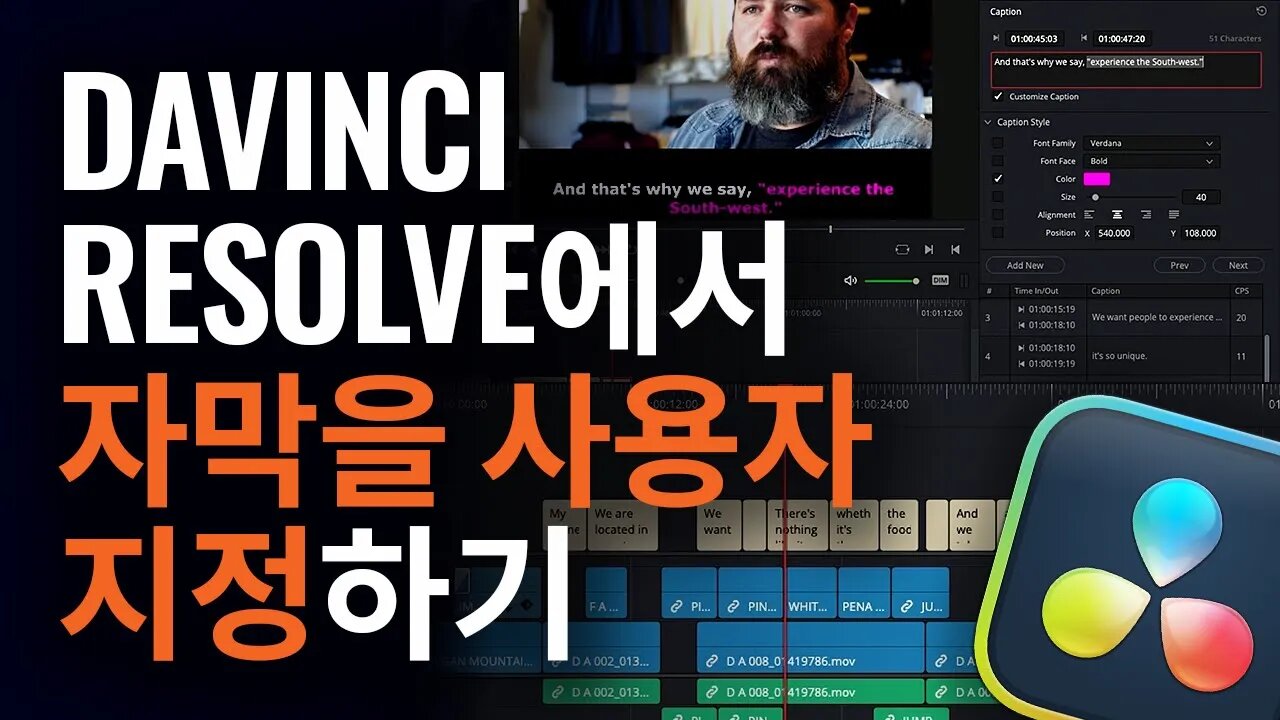 DaVinci Resolve에서 자막 사용자 지정하기