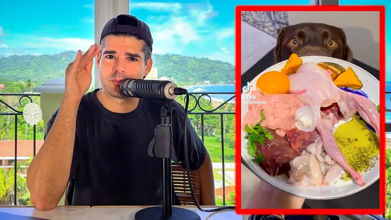 These Pets Eat Better Than Most Americans