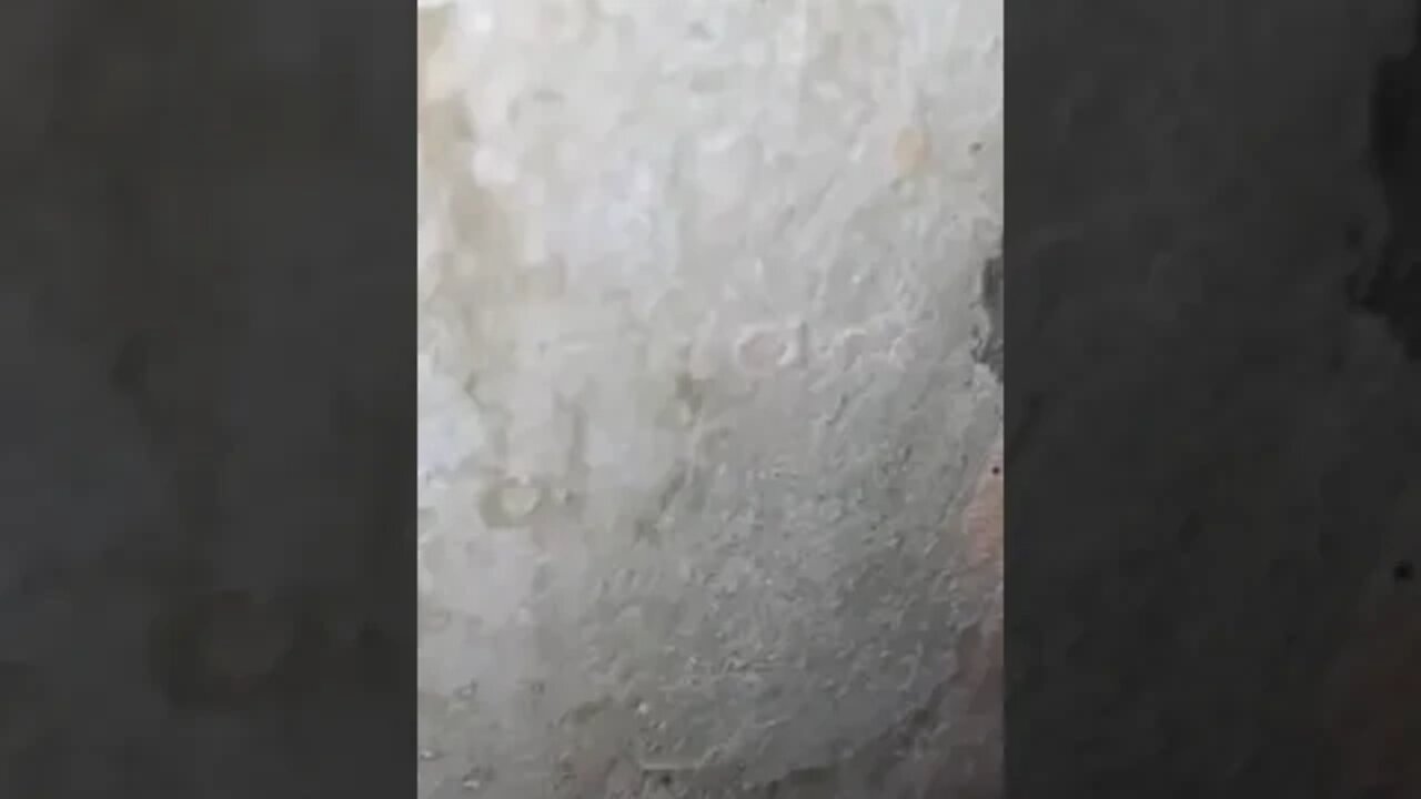 ‼️☢️ВСУ в очередной раз попытались использовать чью-то квартиру как позицию,и заключенные#feedshorts