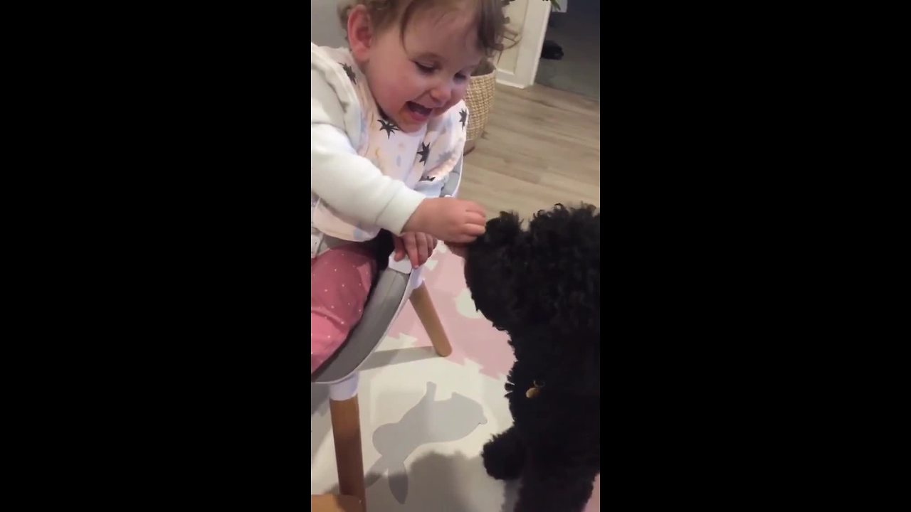 Little Girl Giggles As She Feeds Dog Her Dinner