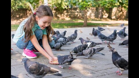 Waoo Cute Baby Girl feeding pigeons and is happy...while feeding....