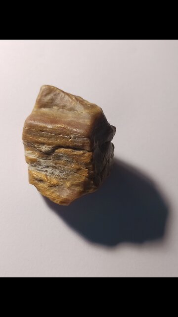 Petrified wood?