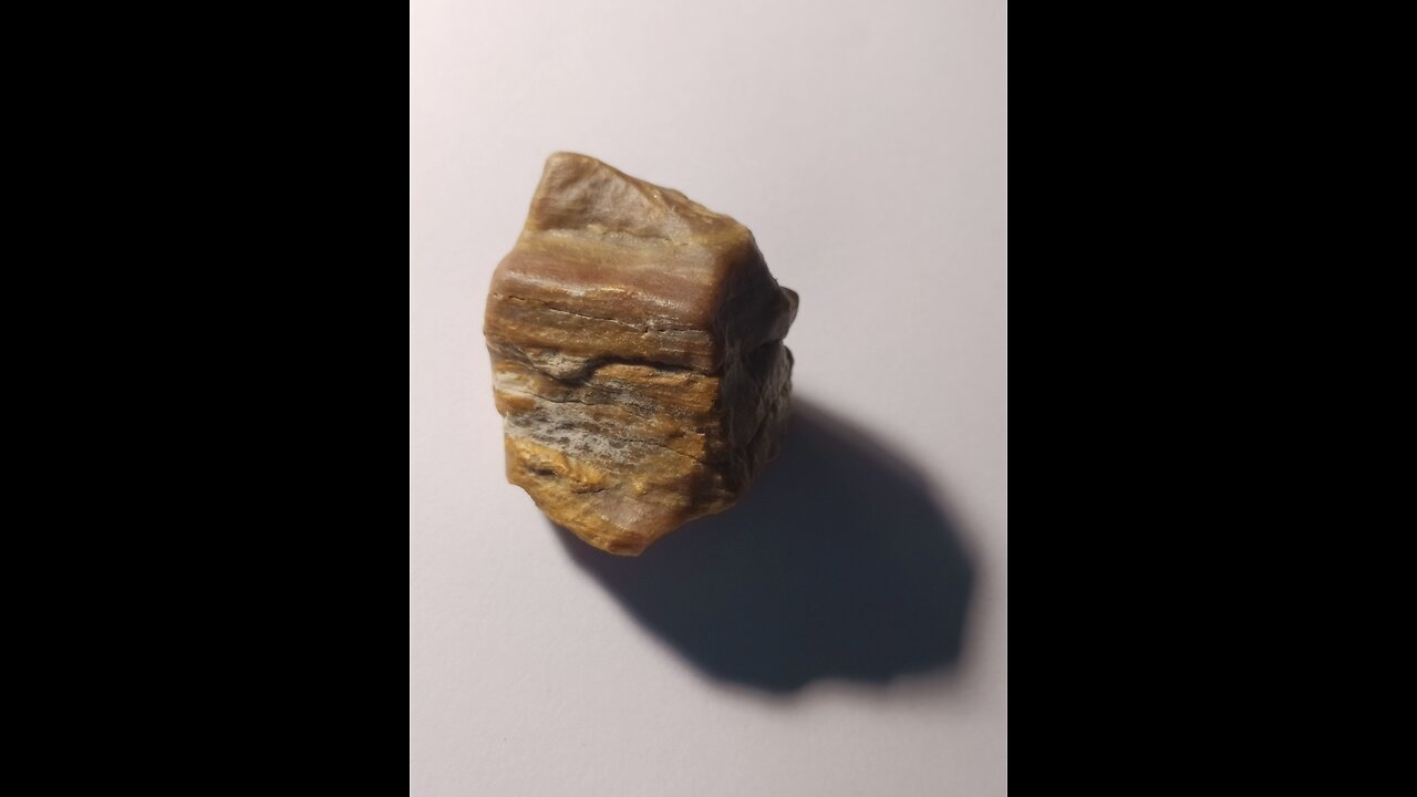 Petrified wood?