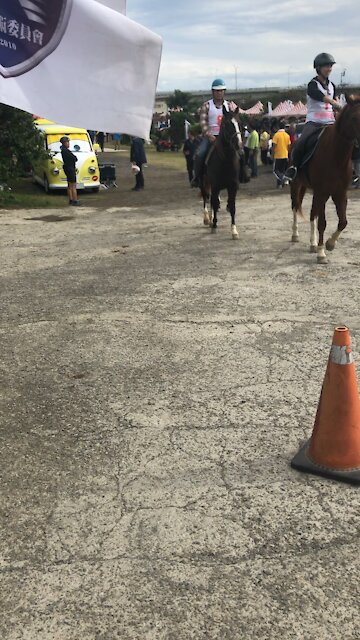 Horse competition in Taiwan