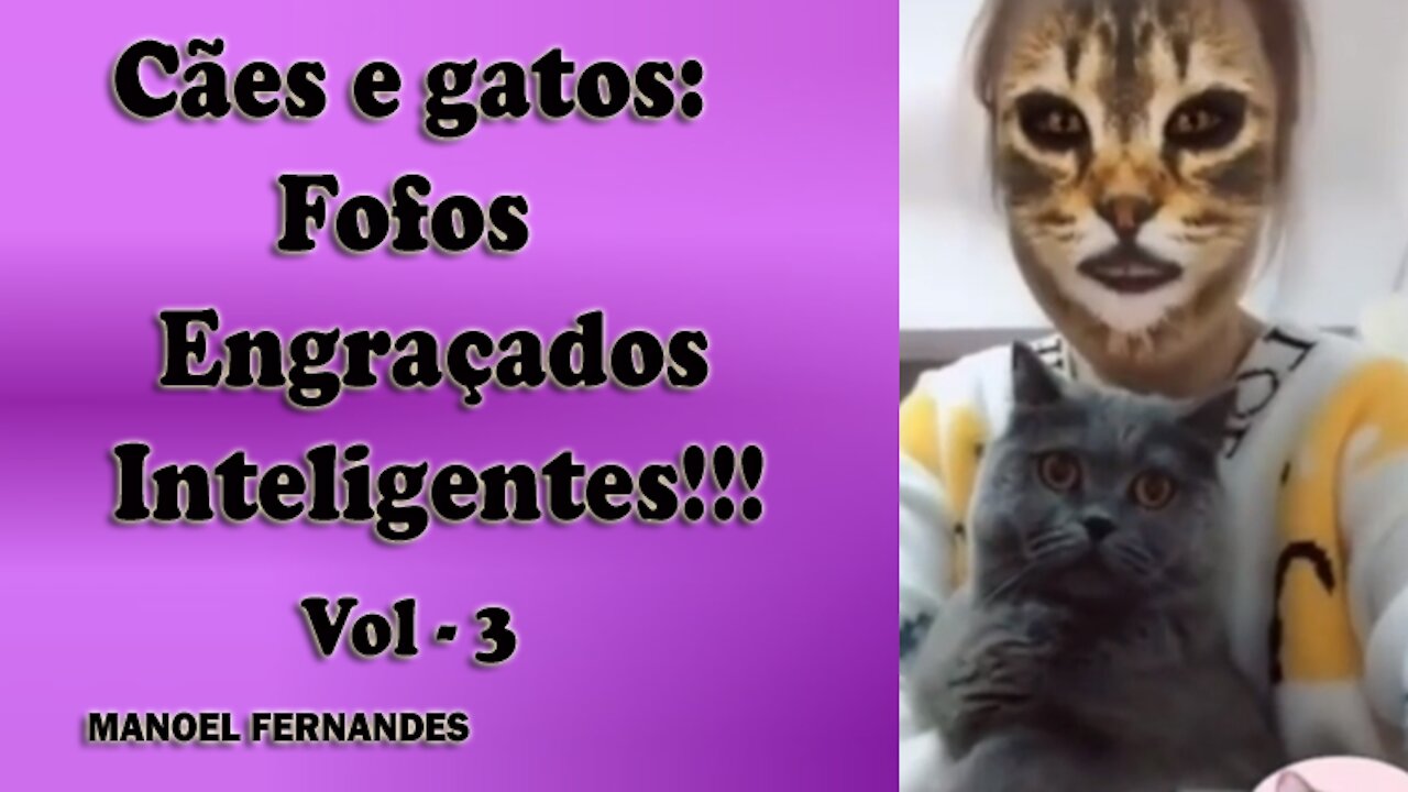 Cães e gatos: Fofos, engraçados e inteligentes!!! vol - 3