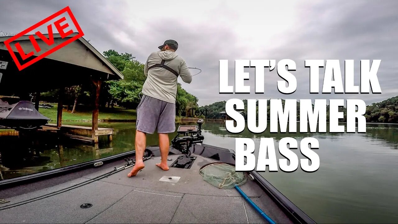 Let's Talk SUMMER BASS FISHING