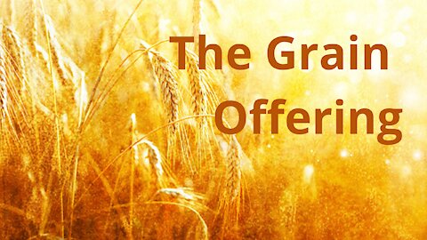 The Grain Offering