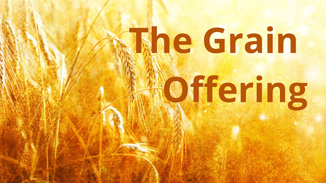 The Grain Offering