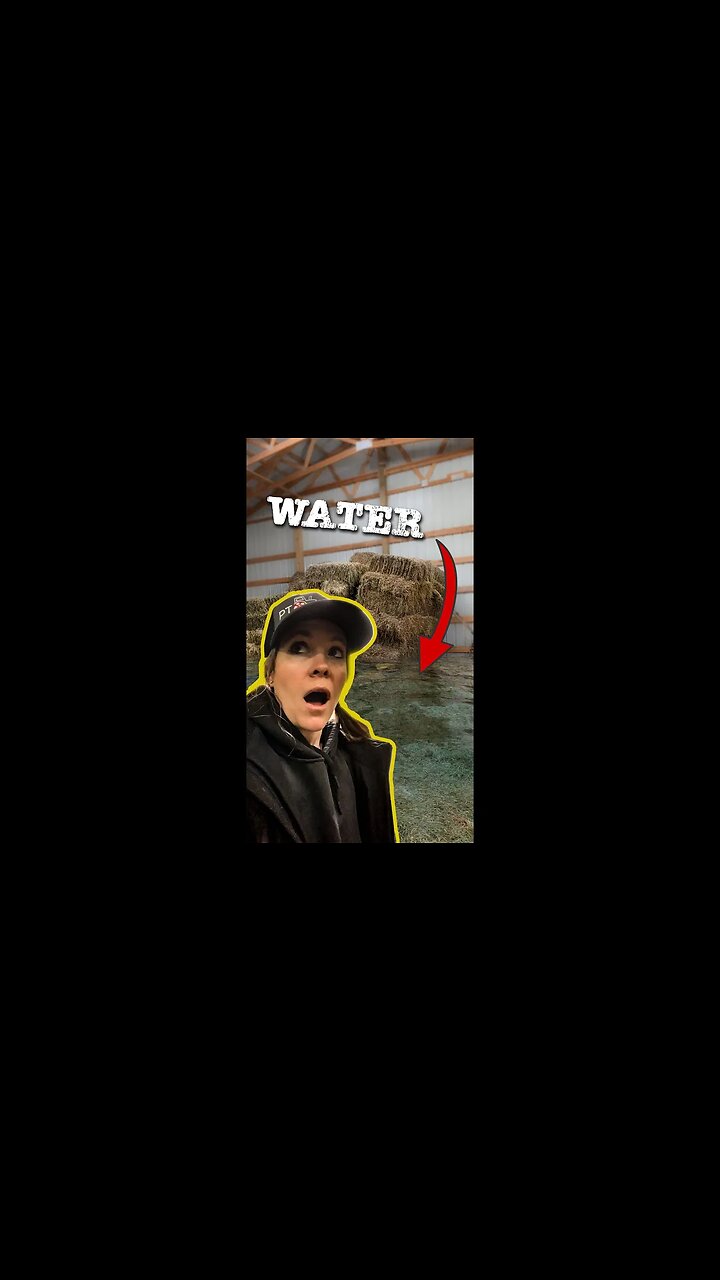 DISASTER - OUR FLOODED BARN (Full Story, Watch to End!)