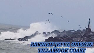 Filipina in USA/ HIGH WIND🌫35MPH WIND GUSTS @ BARVIEW JETTY, OREGON TILLAMOOK COAST