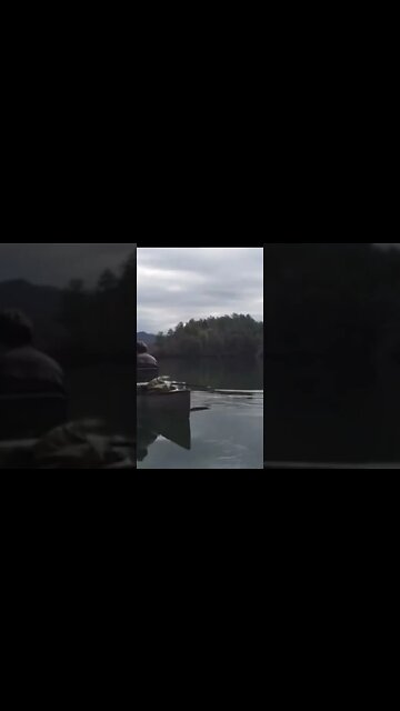 Checkout our channel for awesome camping trips #shorts