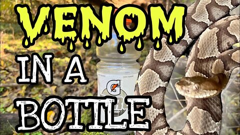 Venom in a Bottle