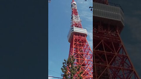 A trip to Japan that no one knows about The snake mound in Shiba Park, a powerful magnet #shorts