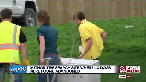 Authorities search site where 40 dogs were abandoned