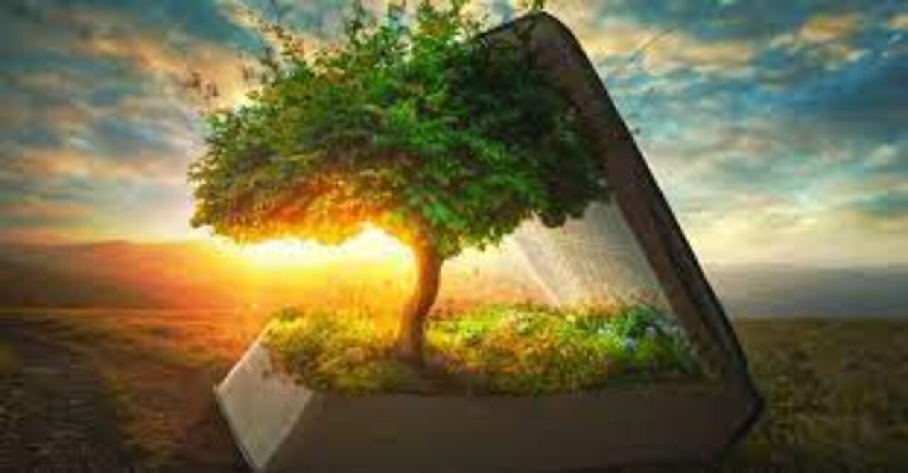 Proverbs chapter 4