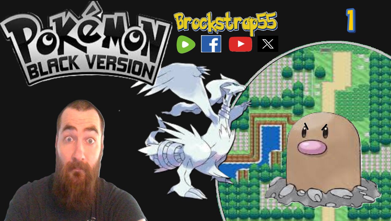 Pokemon Black Ep. 1 : That Was Quick