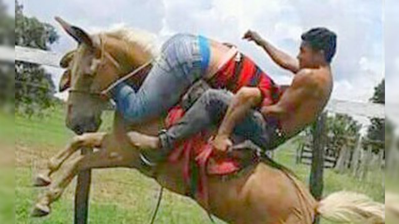 Try not to laugh with these funny horses (PART 4)