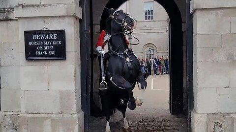 horse decides he is not going to stay in the box #horseguardsparade