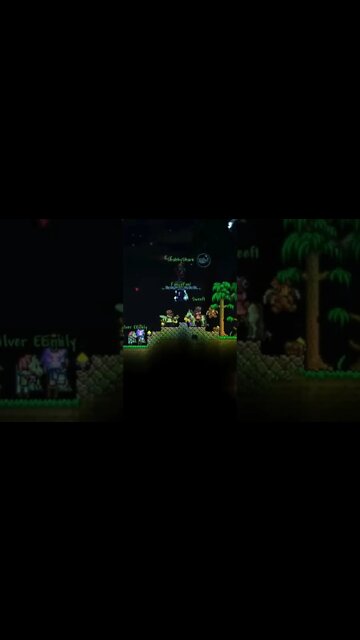 Wedding vows #terraria