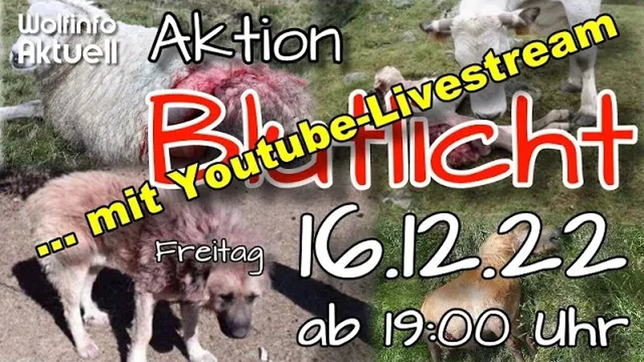 Wolfinfo Aktuell "Aktion Blutlicht" Deine Stimme zählt