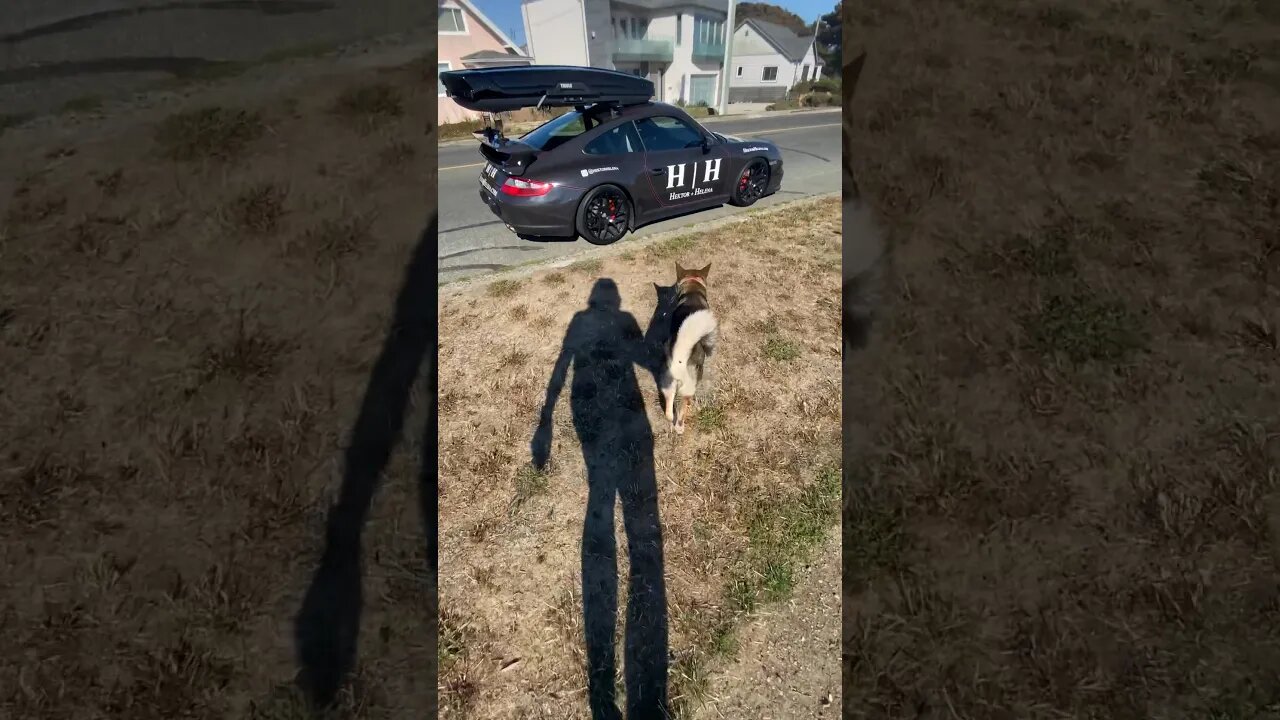No JDM for Japanese Dog