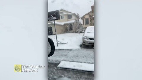 This is why Albertans keep snow brushes around all spring