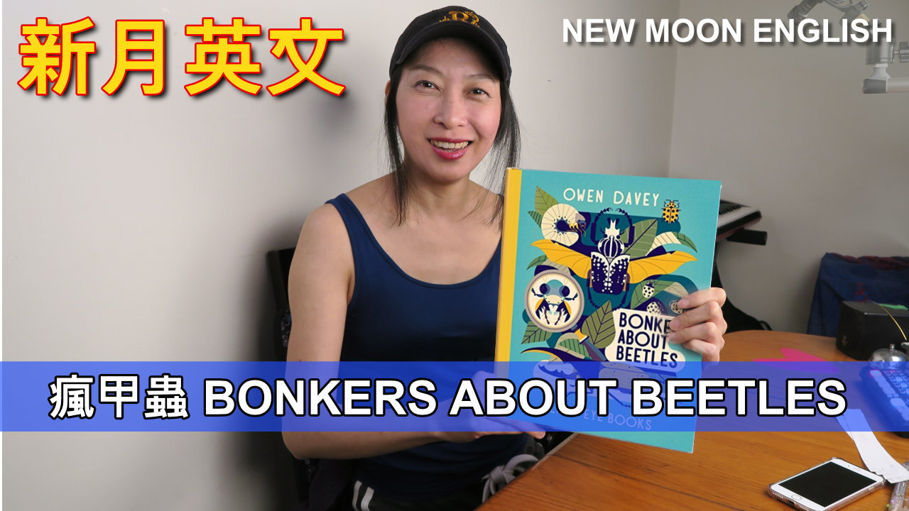 繪本 Storybook : 瘋甲蟲 BONKERS ABOUT BEETLES