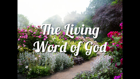 SATELLITES & BEADIES + B-239