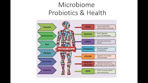 The Microbiome, Health & Probiotics
