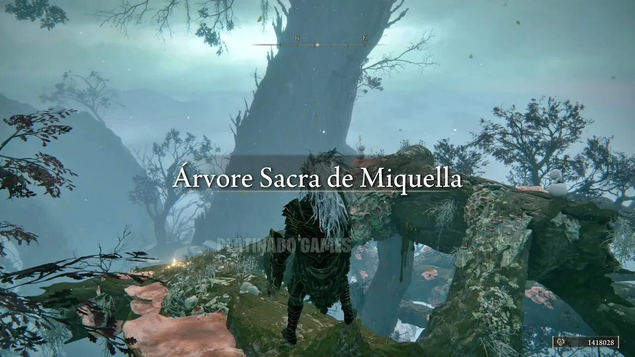 COMO CHEGAR NA ÁRVORE SACRA DE MIQUELLA [ÁREA SECRETA]