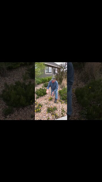 Landscape Fabric | Are You MAINTAINING It Properly?