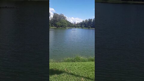 VISTA AO FUNDO DO OBELISCO DO IBIRAPUERA E VISUAL DO LAGO DO PARQUE IBIRAPUERA