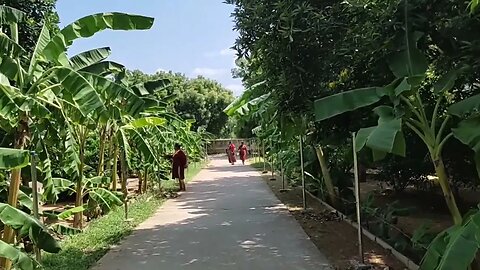 Entry of Lalitha Peetham a beautiful temple ,#shortvideo,#Lalithapeetham,#tourvlog,#temple.