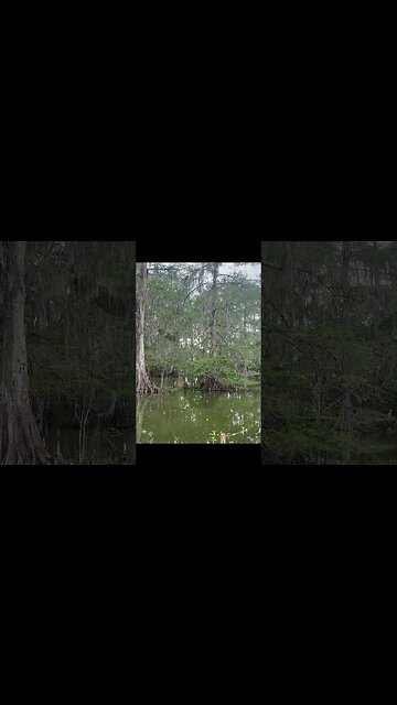 Southern Scenery Canon Photos iPhone video